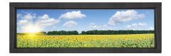 Ayçiçeği  Tarlası Tablosu Siyah Ahşap Çerçeve - 150x50