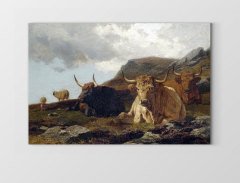 Otlak Hayvanları Tablosu Çerçevesiz - 45x30
