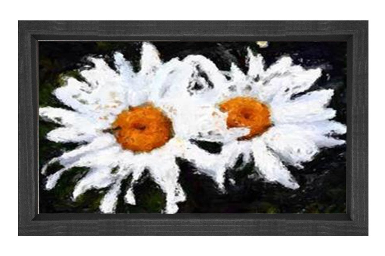 Çift Papatyalar Çiçekler Tablosu Siyah Ahşap - 50x70