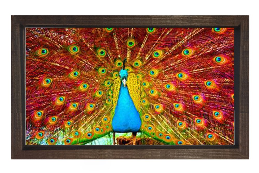 Tavus Kuşu Tablosu Kahverengi Ahşap - 40x60