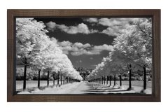 Ağaçlı Yol Siyah beyaz Tablosu Kahverengi Ahşap Çerçeve - 100x150