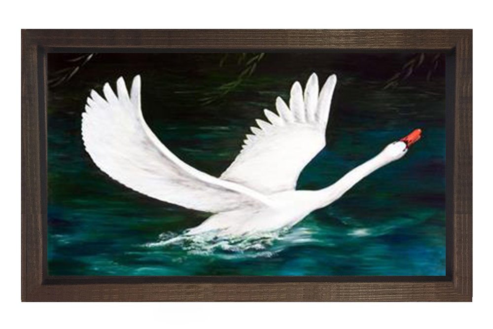 Kuş Tablosu Kahverengi Ahşap Çerçeve - 40x60