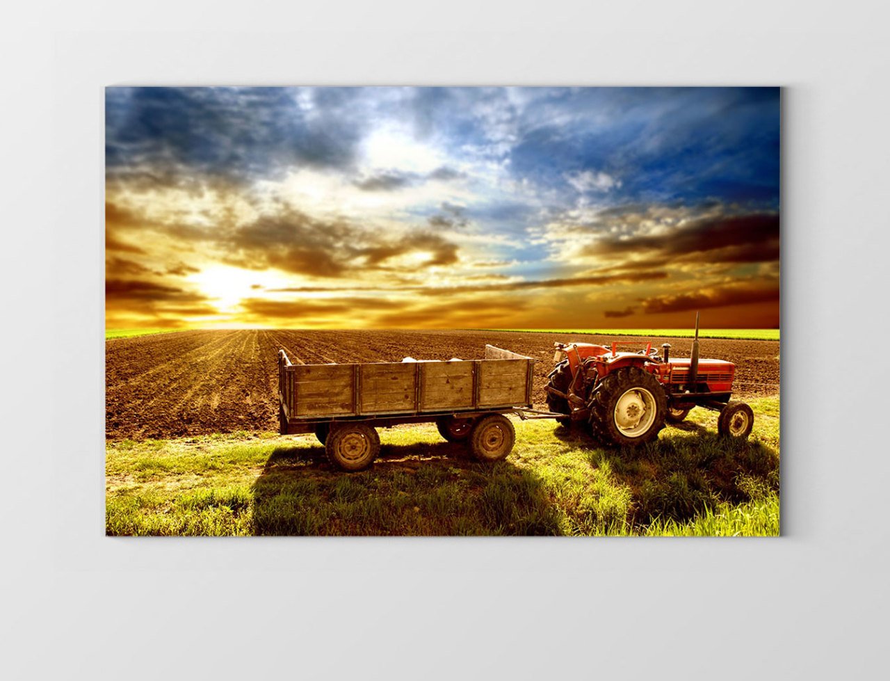 Tarla Ve Traktör Tablosu Çerçevesiz - 100x200
