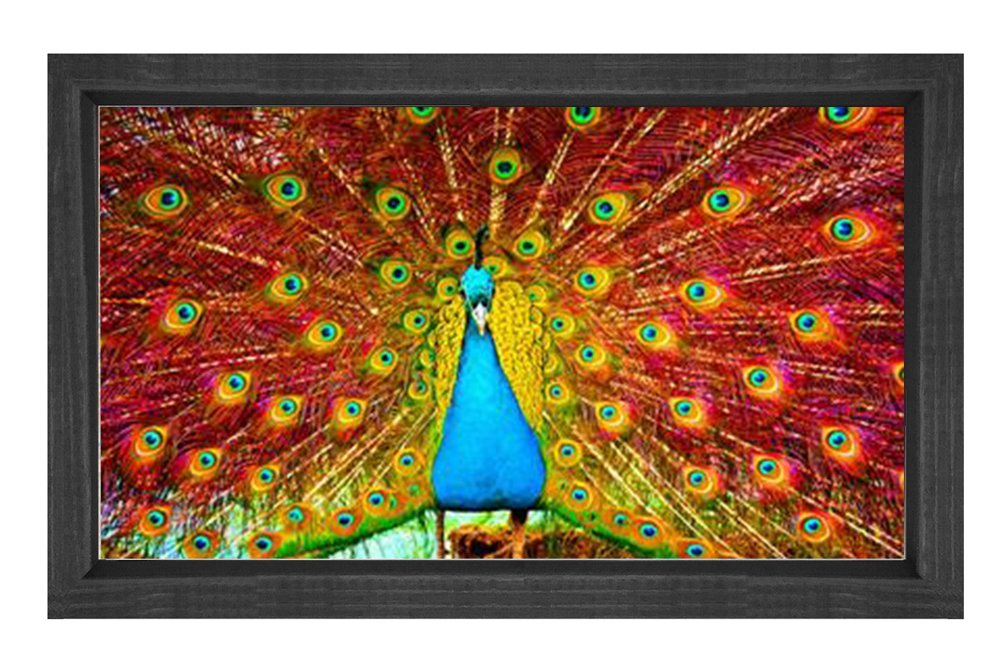 Tavus Kuşu Tablosu Siyah Ahşap - 70x100