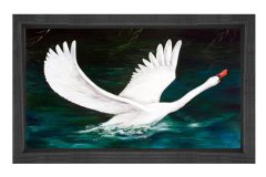 Kuş Tablosu Siyah Ahşap Çerçeve - 50x90