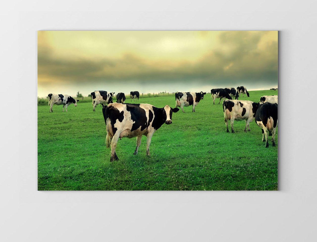 İnekler Otlarken Tablosu Çerçevesiz - 100x200