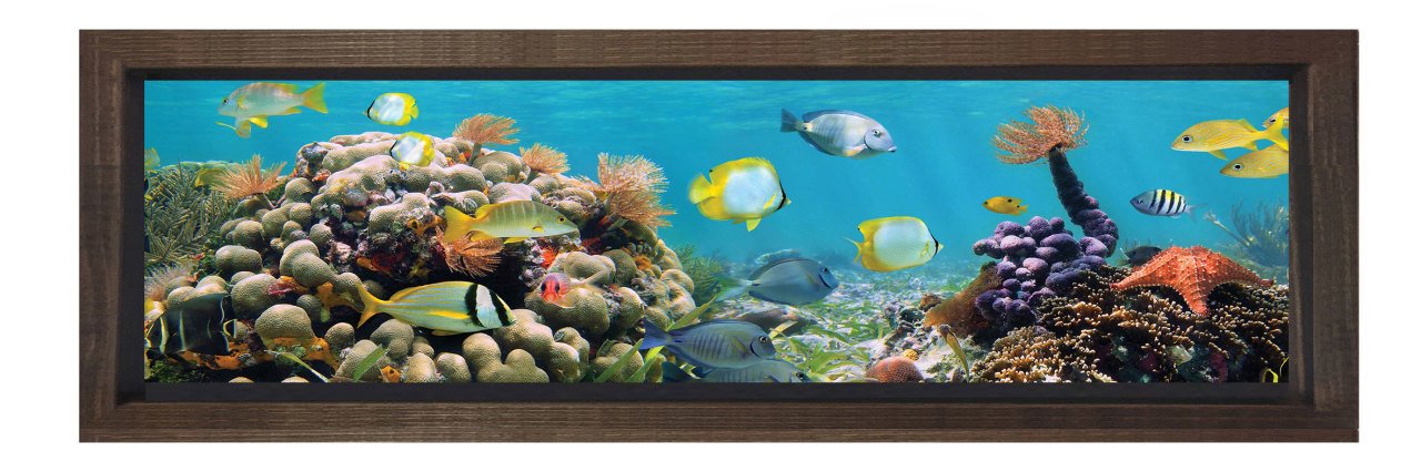 Balıklar Ve Denizaltı Tablosu Kahverengi Ahşap Çerçeve - 180x60