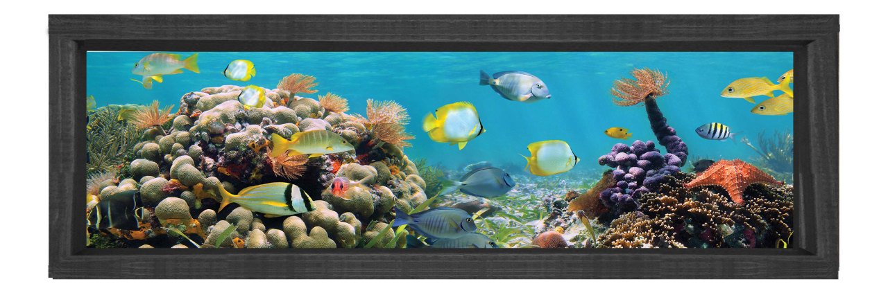 Balıklar Ve Denizaltı Tablosu Siyah Ahşap Çerçeve - 90x30