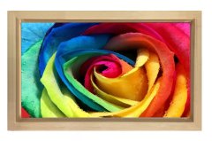Renkli Gül Çiçeği Tablosu Naturel Ahşap Çerçeve - 40x60