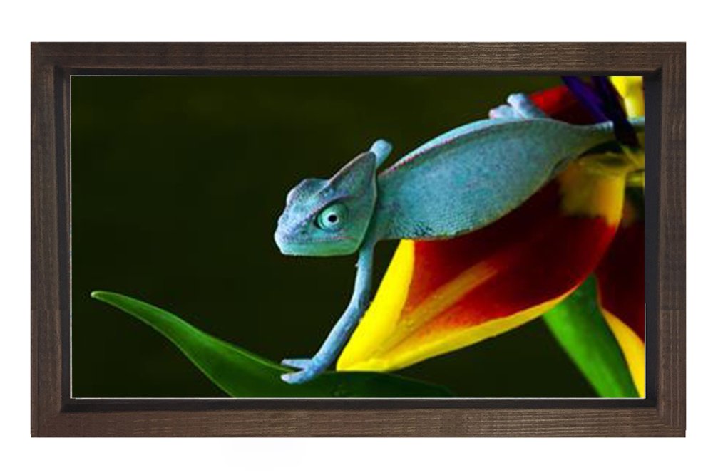 Bukalemun Tablosu Kahverengi Ahşap - 40x60