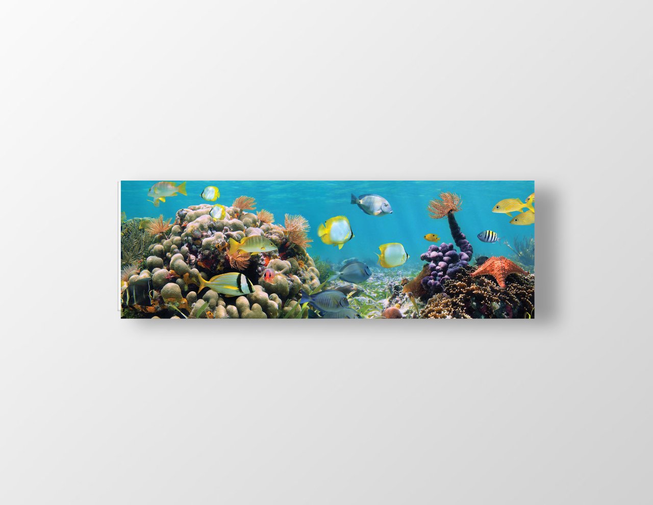 Balıklar Ve Denizaltı Tablosu Çerçevesiz - 150x50