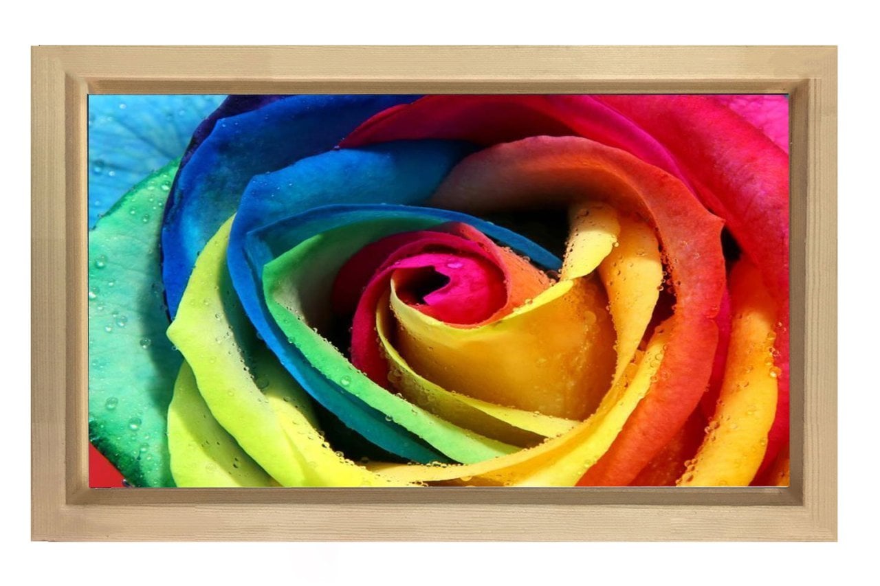 Renkli Gül Çiçeği Tablosu Naturel Ahşap Çerçeve - 50x90