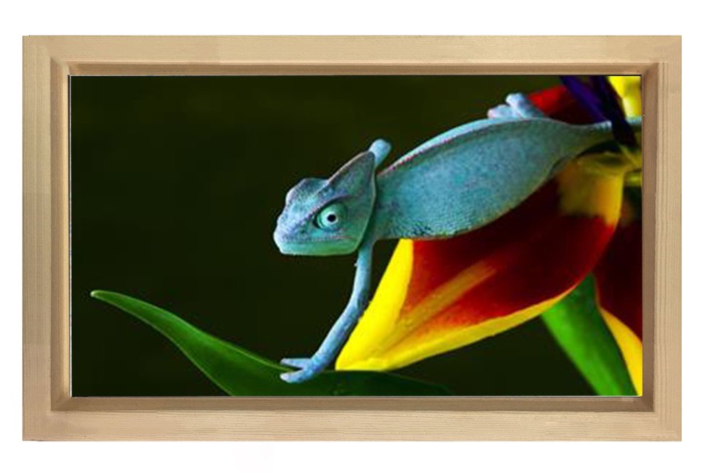 Bukalemun Tablosu Naturel Ahşap - 40x60